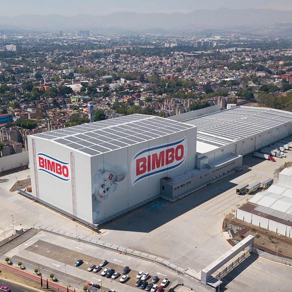 Second Part Audits for Grupo BIMBO